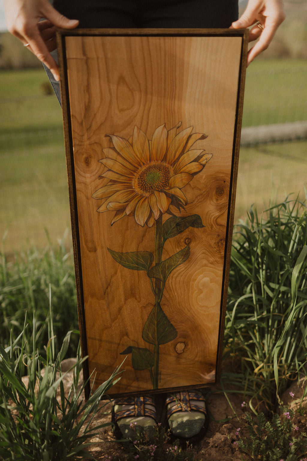 Sunflower Bathing