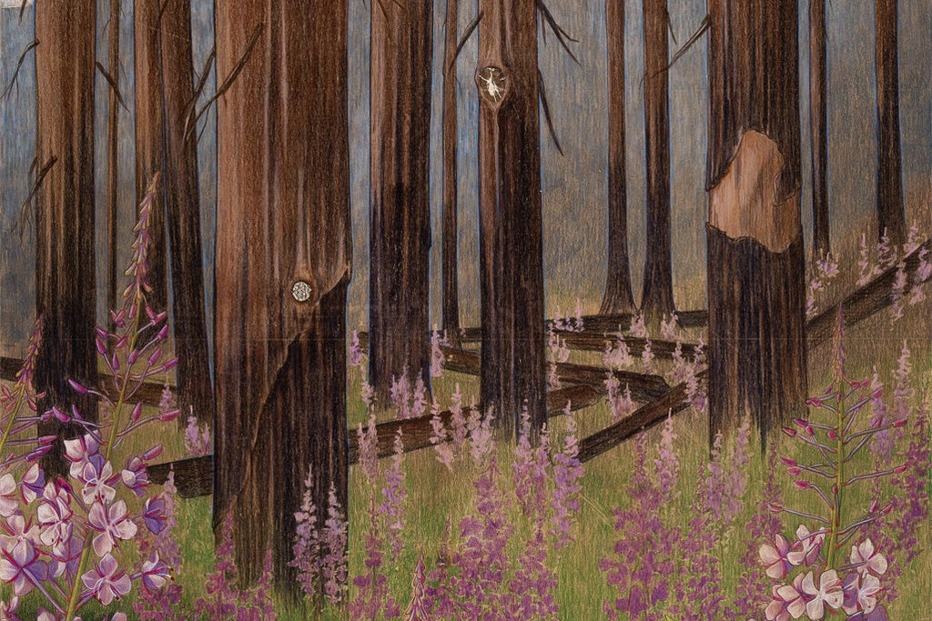 From The Ashes - Original