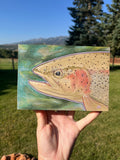 Fish Head - Rainbow