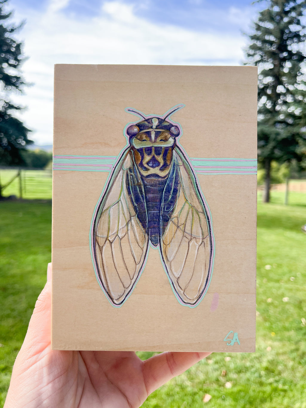 Cicada Song - Original