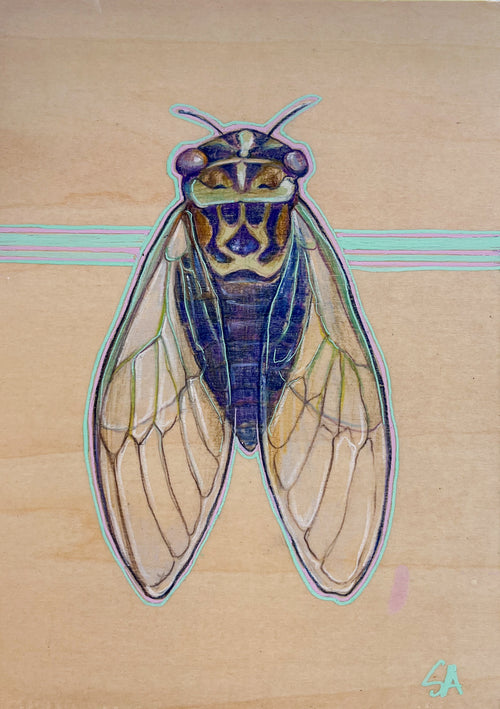 Cicada Song - Original