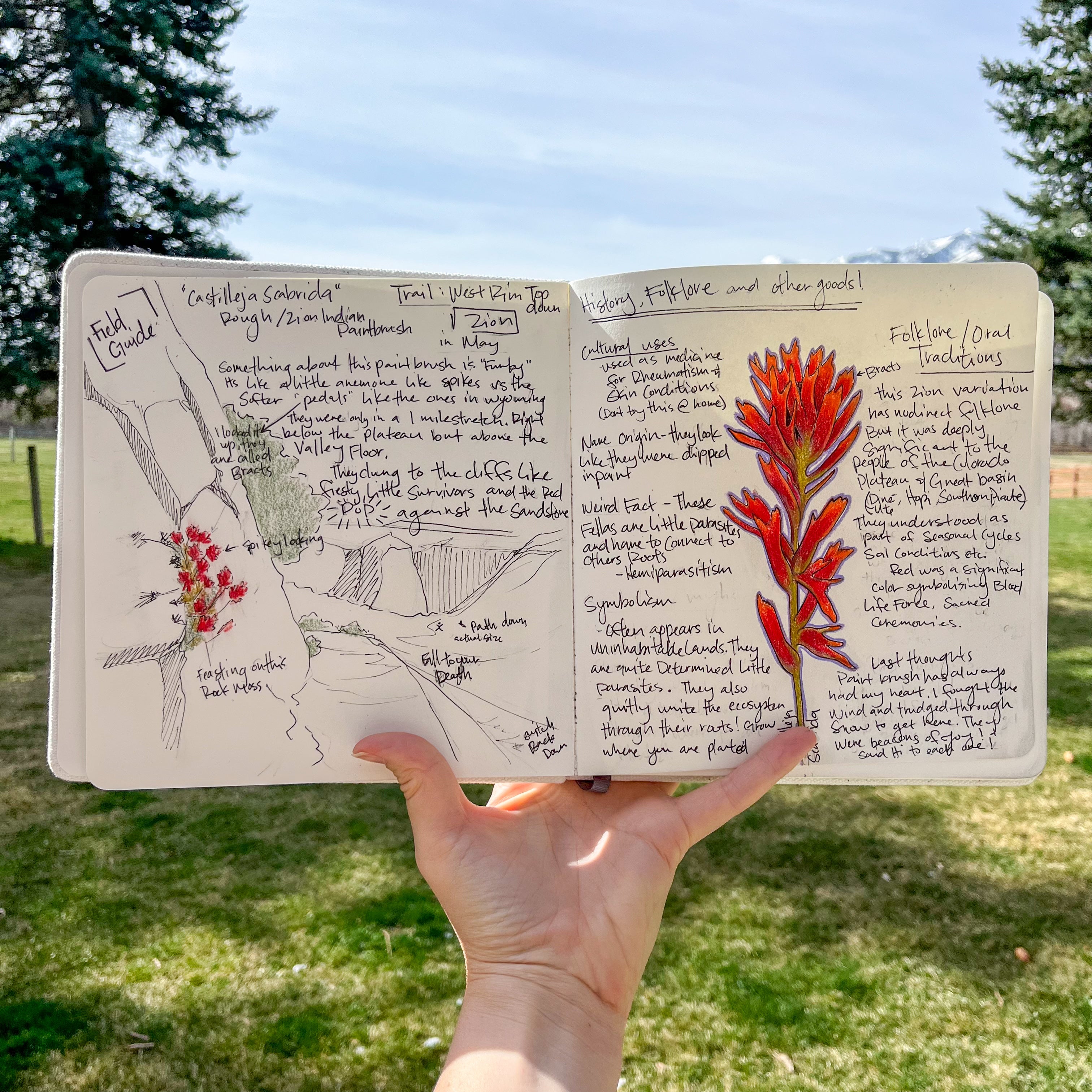 Field Guide Archive - Monthly Print Dispatch