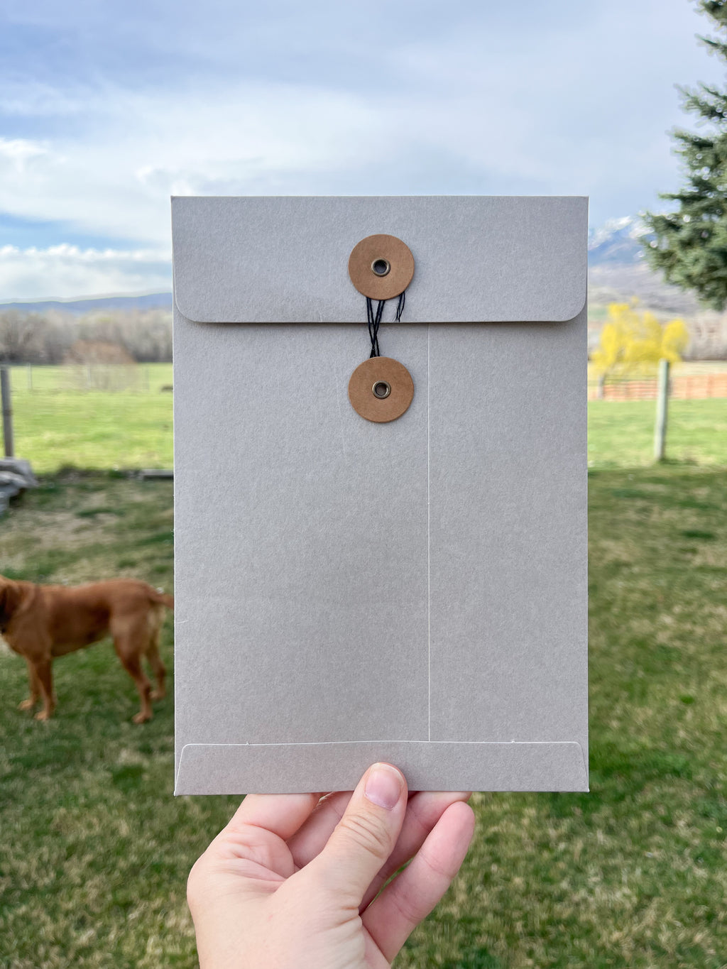 Field Guide Archive - Monthly Print Dispatch