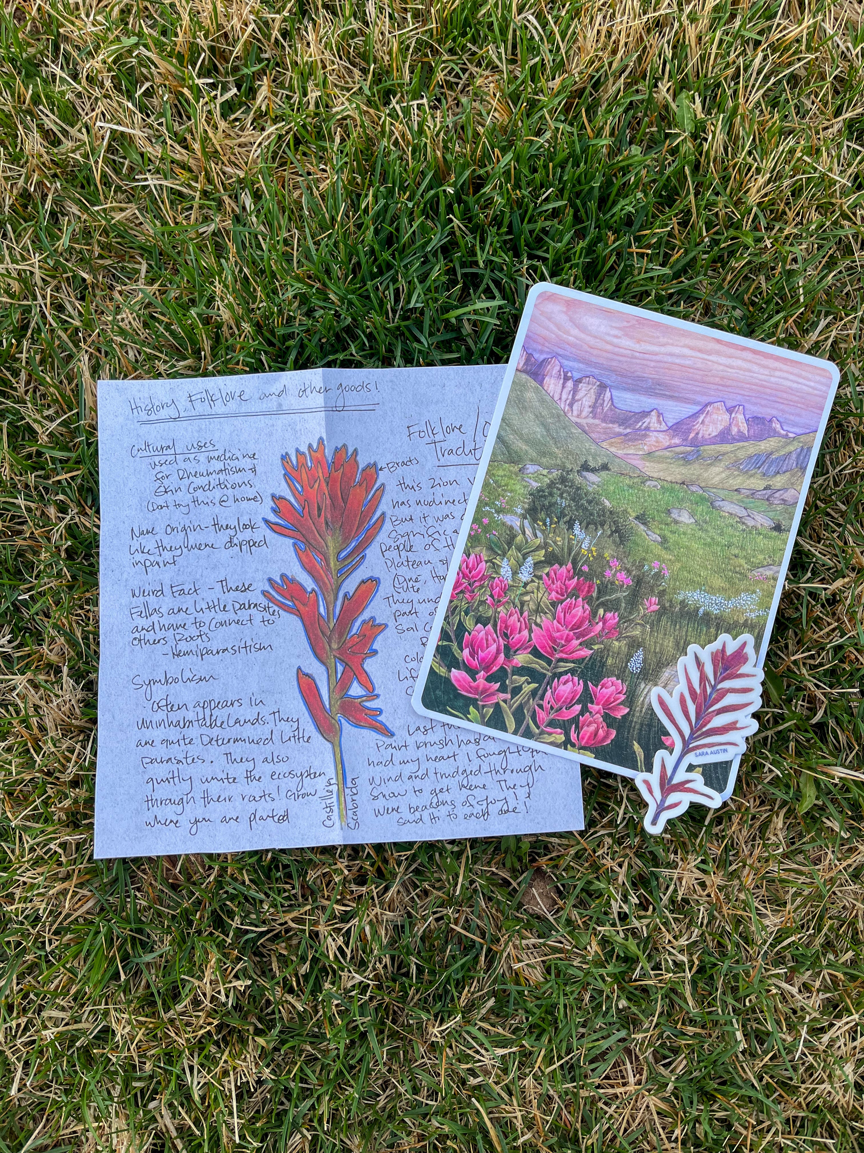 Field Guide Archive - Monthly Print Dispatch