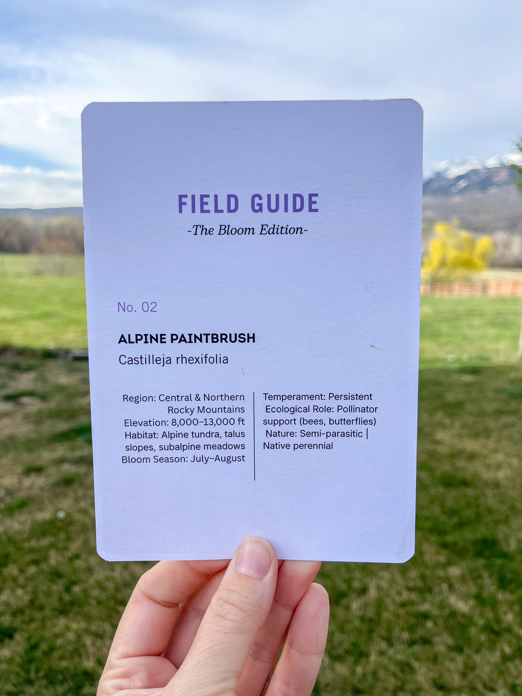 Field Guide Archive - Monthly Print Dispatch