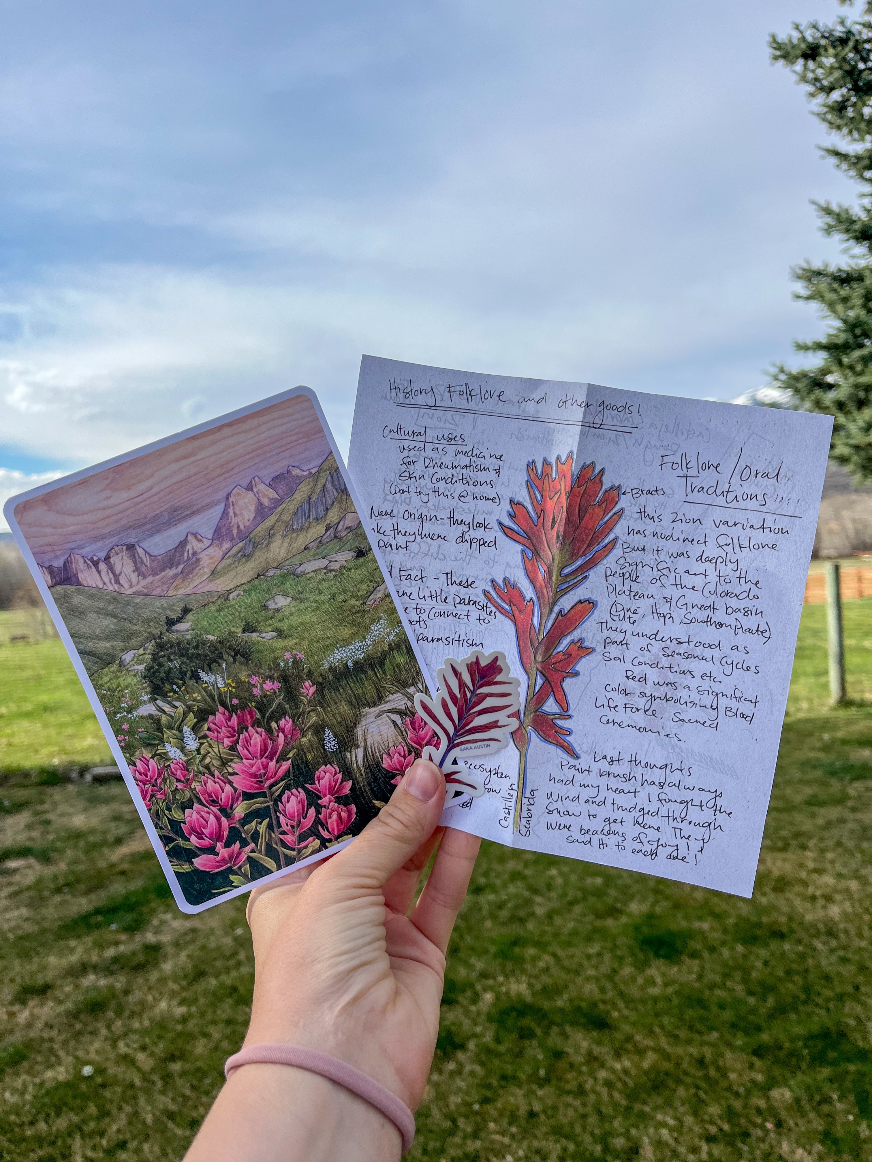 Field Guide Archive - Monthly Print Dispatch