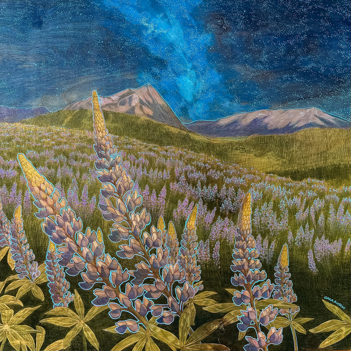 Night Garden - Crested Butte