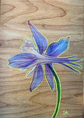 Purple Little Lady