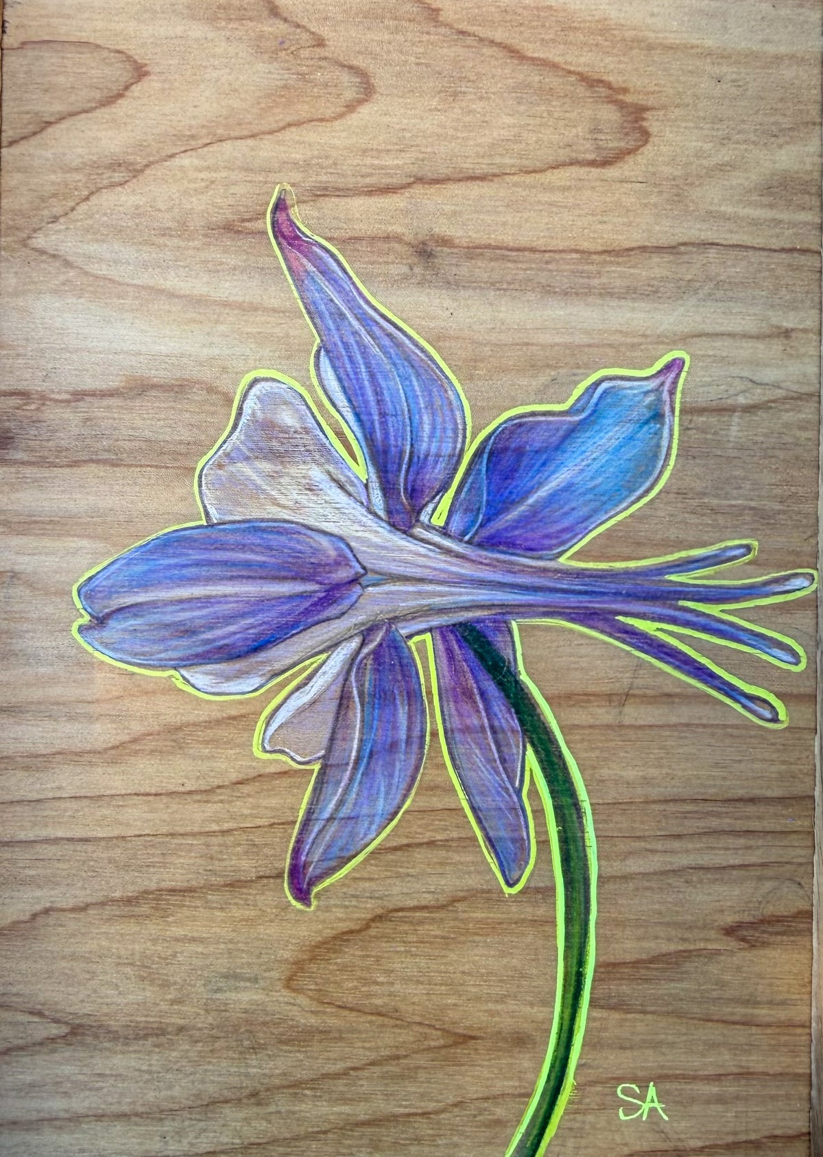 Purple Little Lady