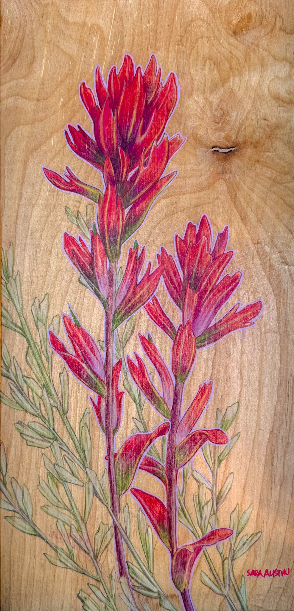 Paintbrush and Sage