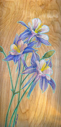 Columbine Trio