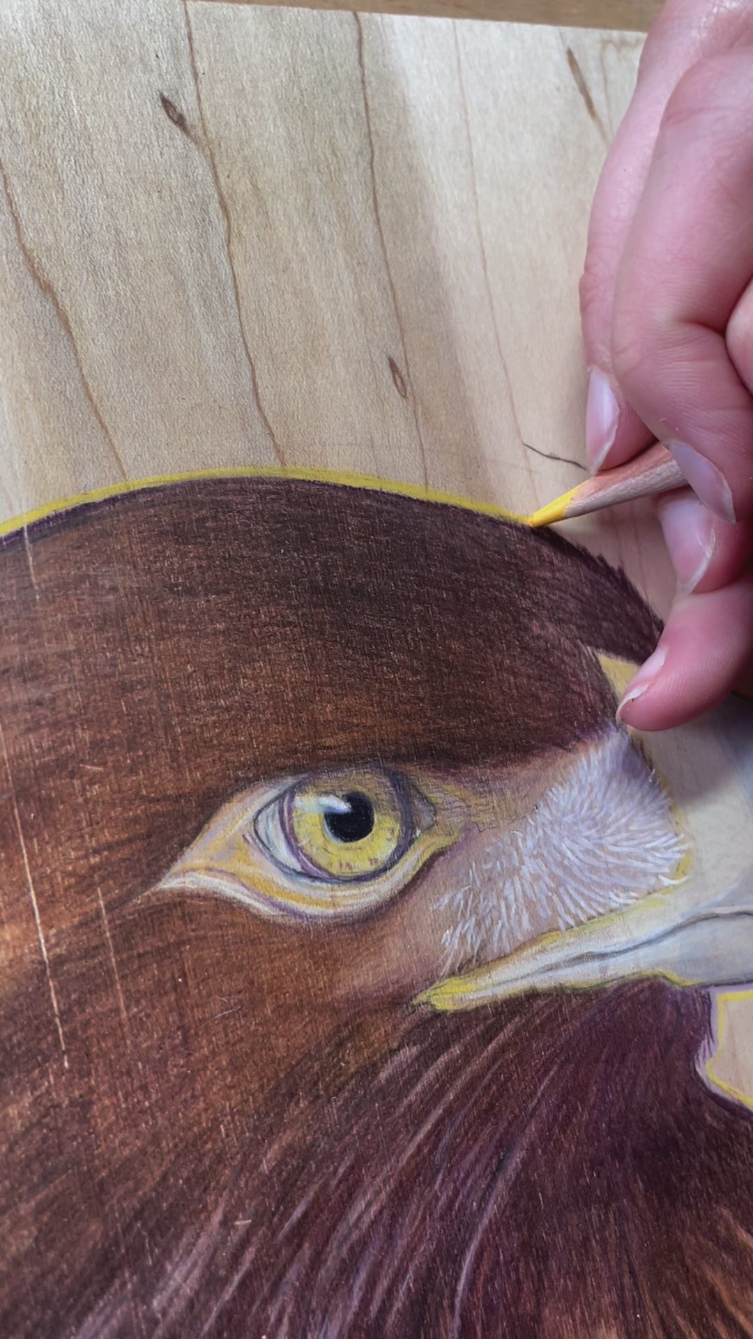 Golden Sun - Original