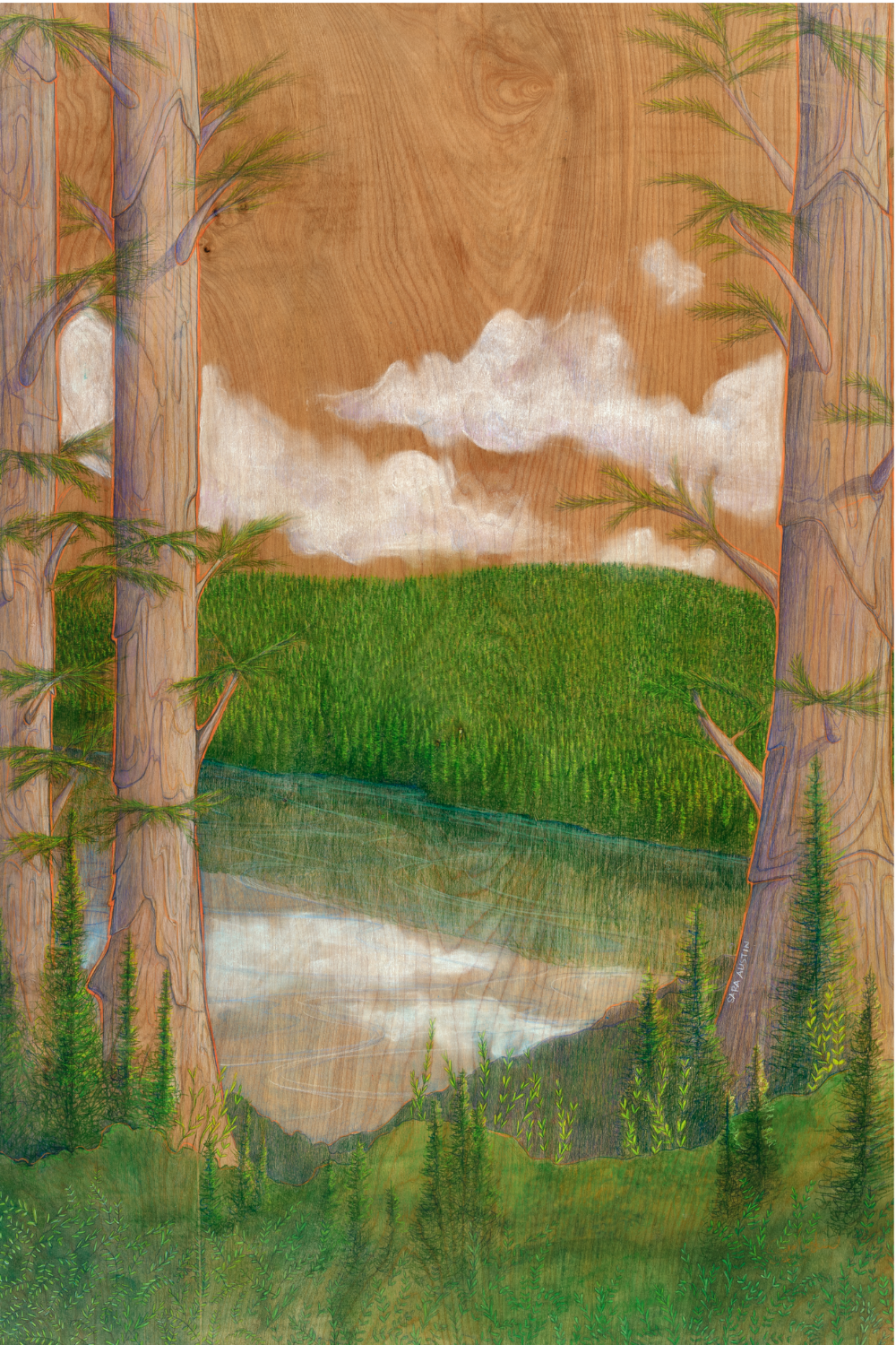 Lake Of The Woods